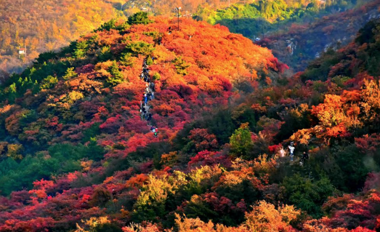 尽管药王谷位于首都圈，但仍然存有手机信号盲点。图片来源：央视网