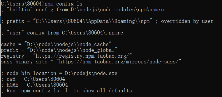 npm config ls