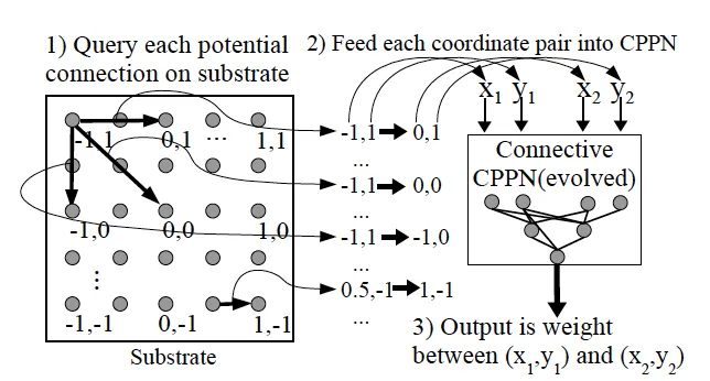 Basic CPPN layout