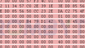 服务器数据恢复-NetApp存储误删除的数据恢复案例
