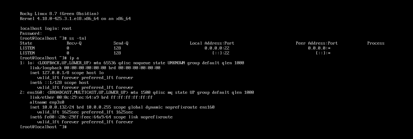 image-20230402153233189