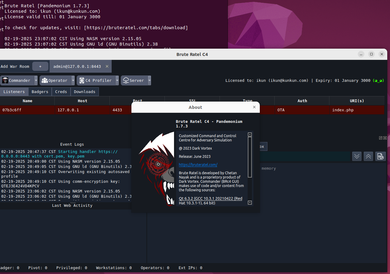 image-20250219231430079