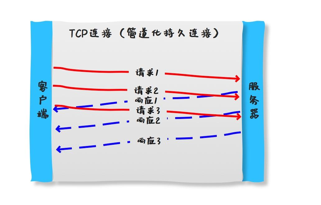 [网络]应用层协议：HTTP / HTTPS-小白菜博客