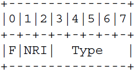 RTP分包模式(H264/H265)