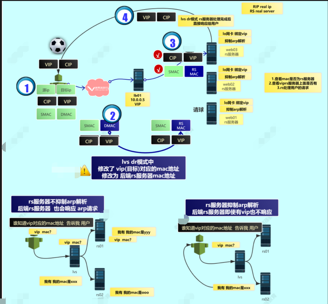 image-20230401150557977