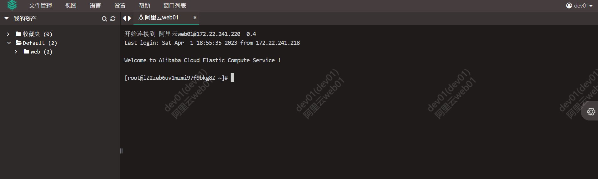 image-20230401185707315