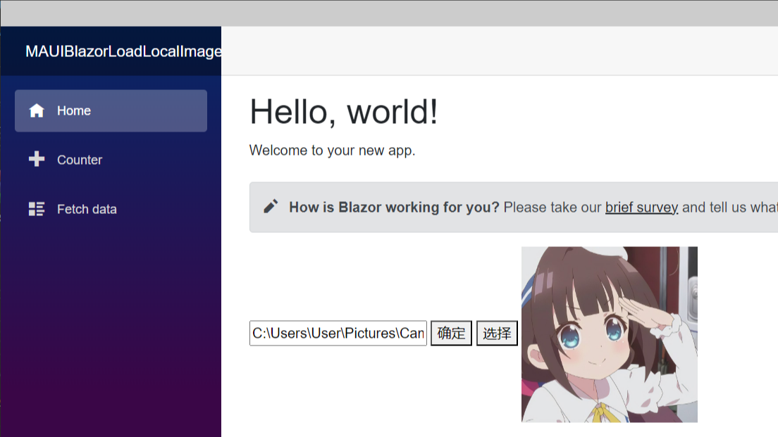 MAUI Blazor 加载本地图片的解决方案