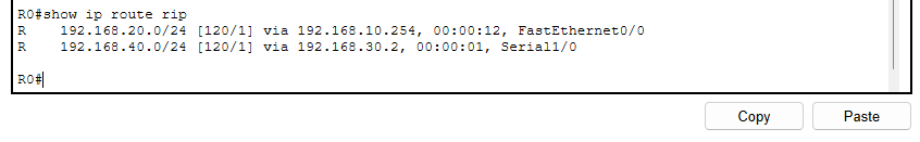 image-20241228231127481