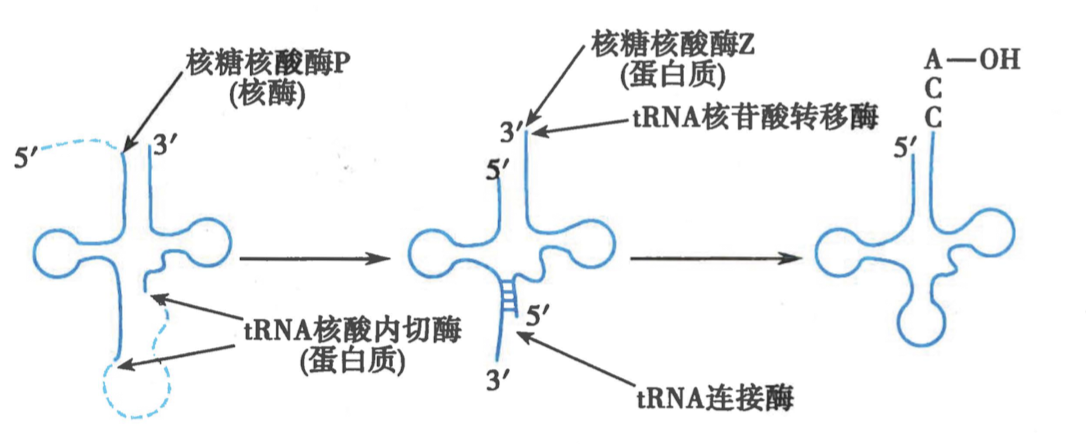 截屏2024-08-19 18.45.12.png