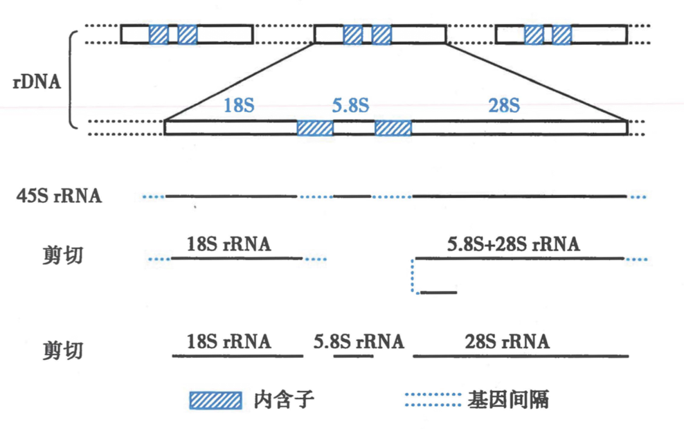 截屏2024-08-19 18.00.25.png