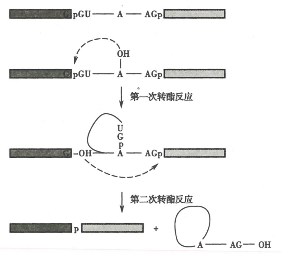 截屏2024-08-19 16.59.36.png