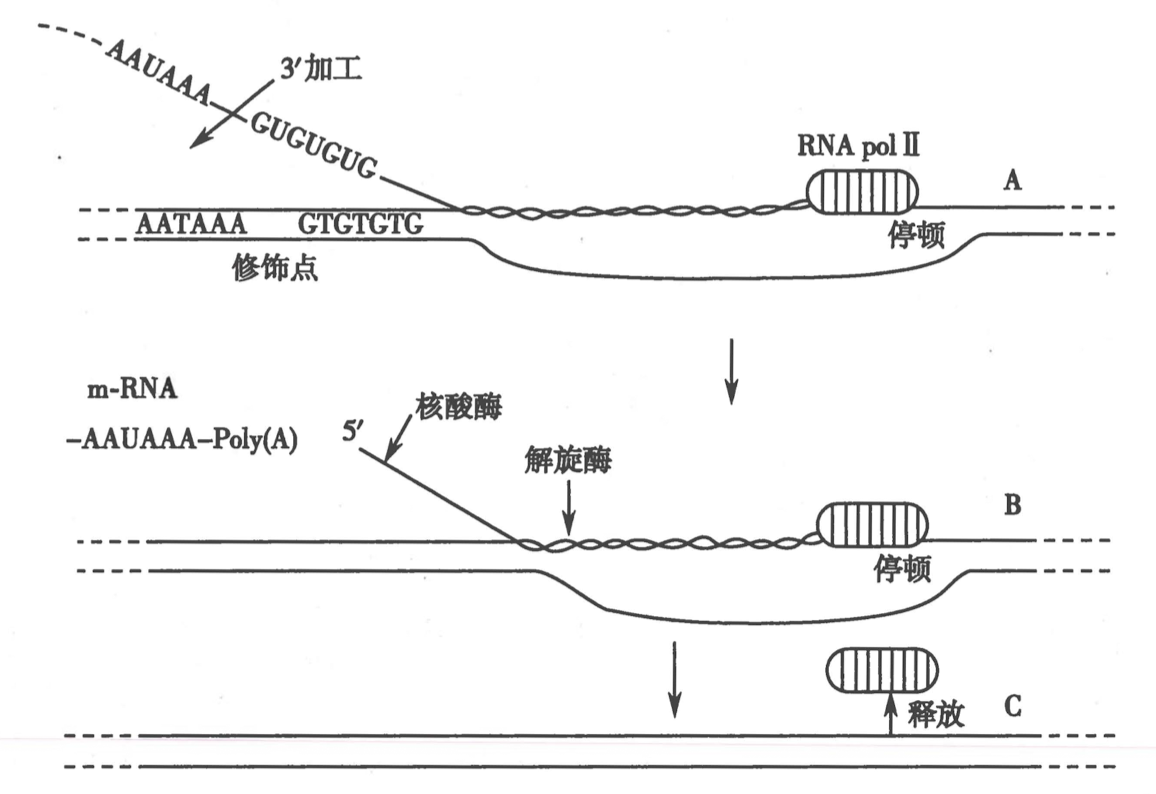 截屏2024-08-19 14.09.57.png