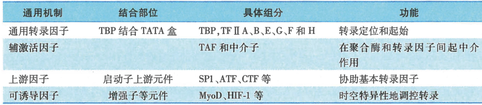 截屏2024-08-19 13.32.56.png