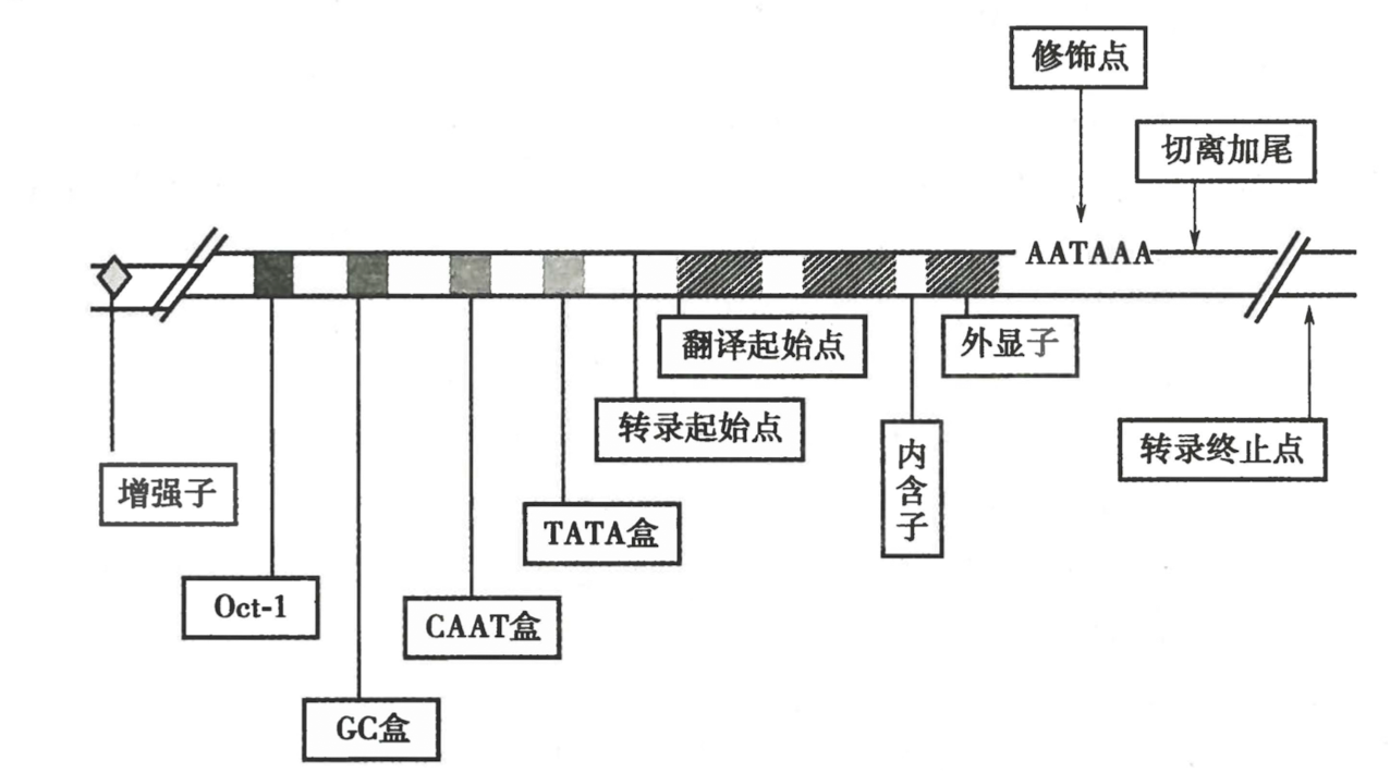 截屏2024-08-19 13.00.50.png