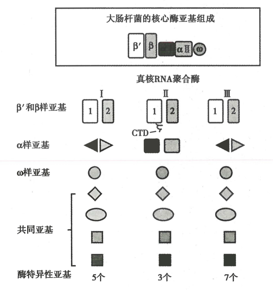 截屏2024-08-19 12.52.37.png