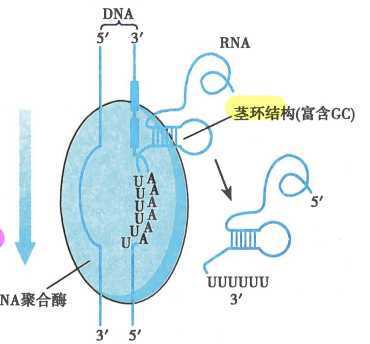 截屏2024-08-19 12.35.51.png