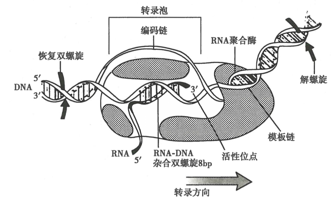 截屏2024-08-19 12.21.59.png