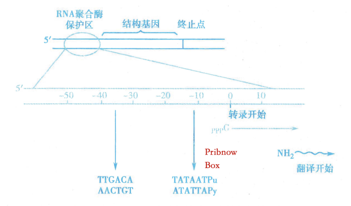 截屏2024-08-19 11.38.17.png