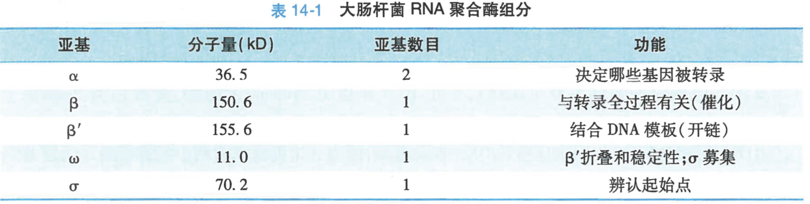 截屏2024-08-19 11.15.46.png