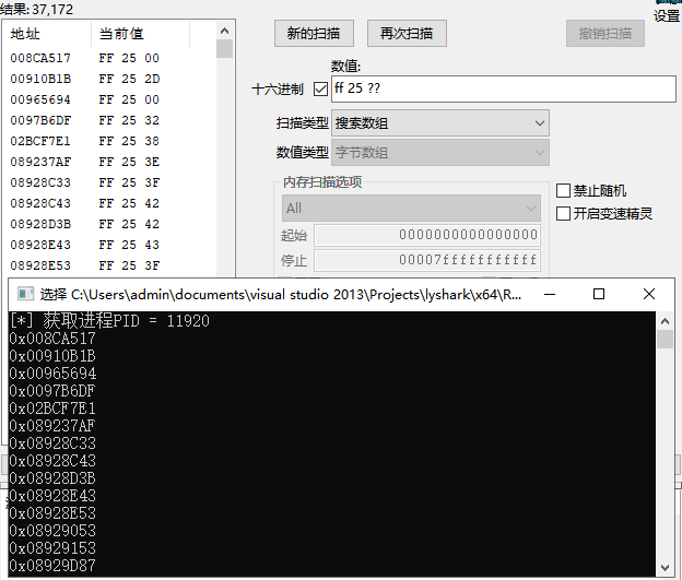 6.2 Sunday搜索内存特征