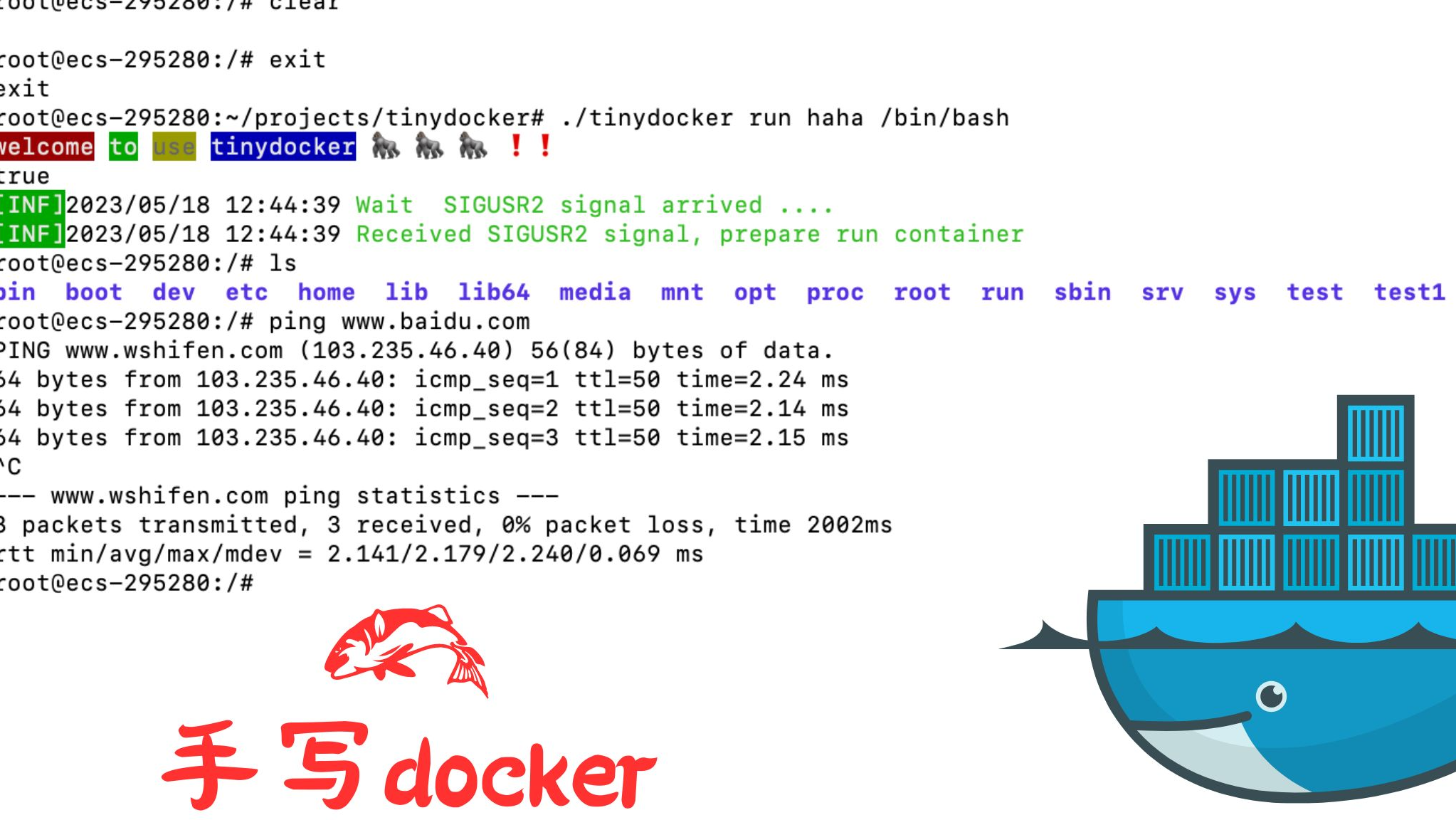 500行代码代码手写docker-将rootfs设置为只读镜像