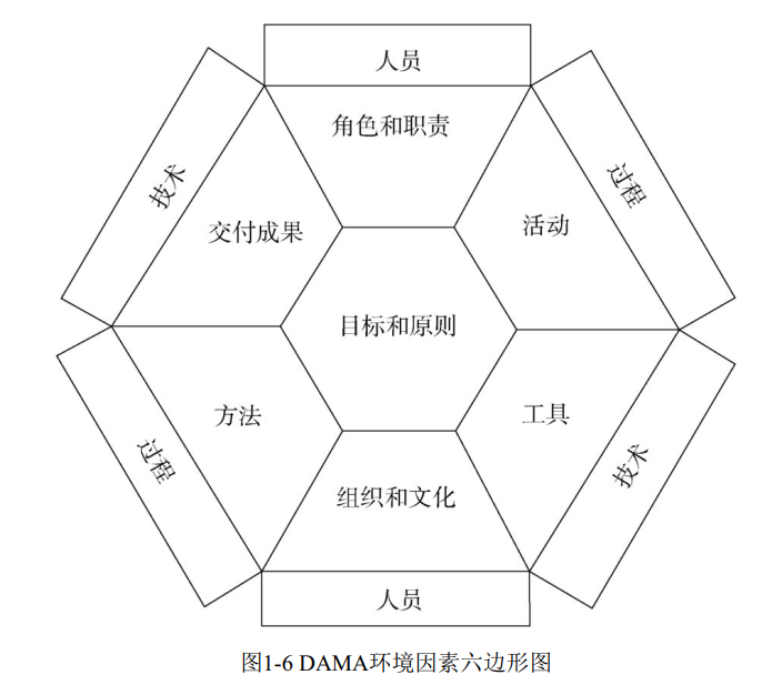 DAMA环境因素六边形图