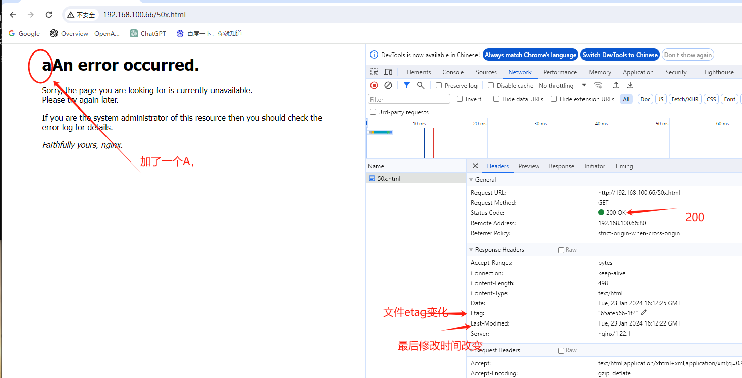 image-20240124001415149