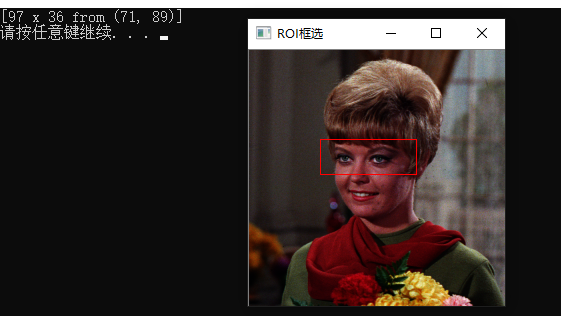 opencv 实现 ROI 框选功能