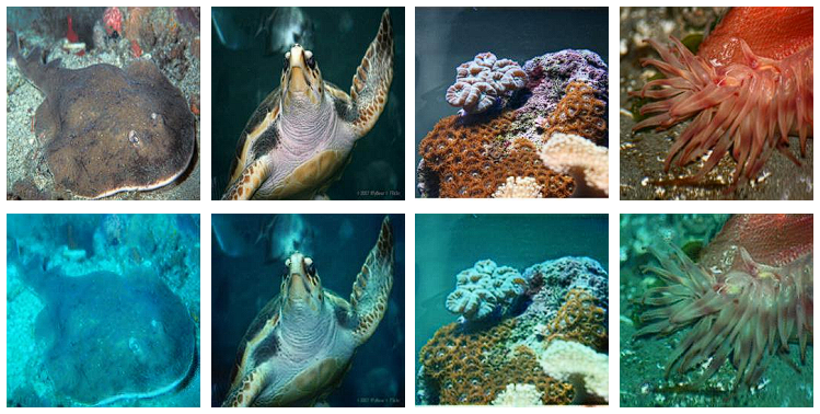 【水下图像增强】Enhancing Underwater Imagery using Generative Adversarial Networks
