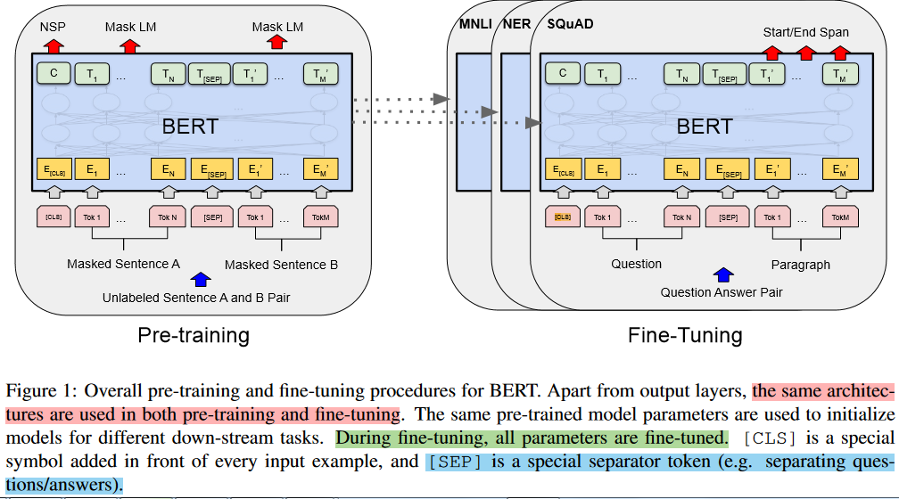 预训练模型-从BERT原理到BERT调包和微调
