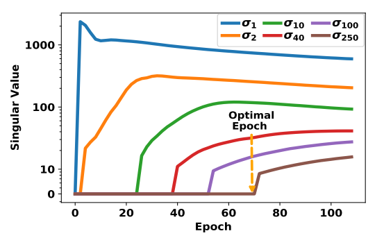 How Do Recommendation Models Amplify Popularity Bias? An Analysis from the Spectral Perspective