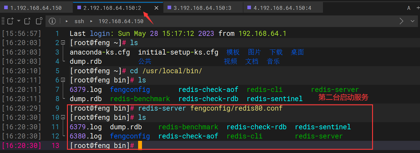 image-20230528162349238