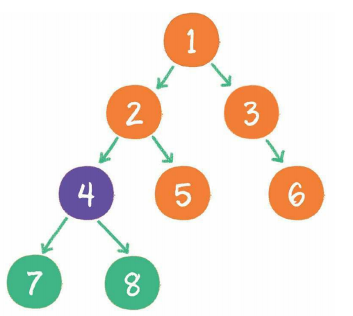  二叉树（binary tree）