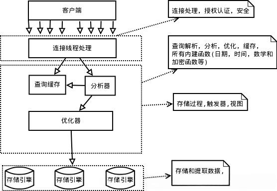 DeWatermark.ai_1739327317104