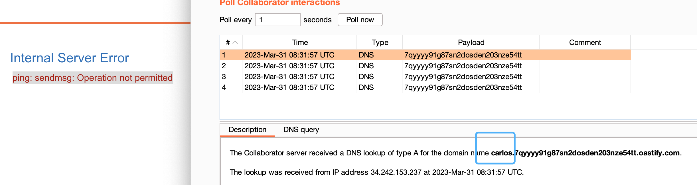 image-20230331163310998