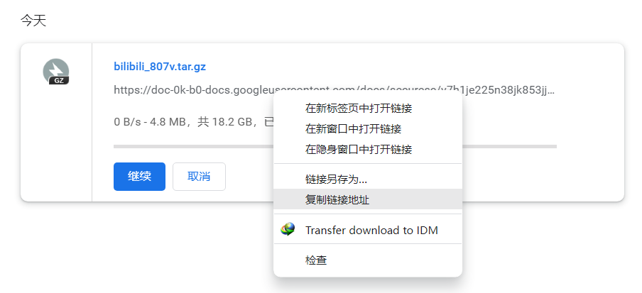 使用IDM从Google 云端硬盘链接上下载超大文件-小白菜博客