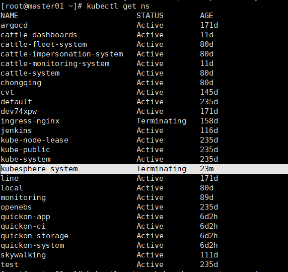 k8删Terminating 状态的namespace