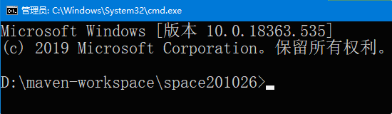 在工作空间目录下打开命令行窗口