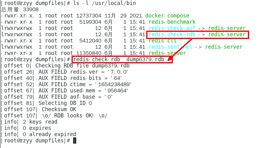 如何检查修复dump.rdb文件