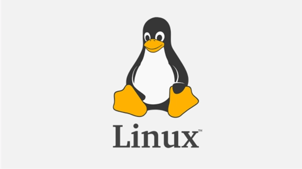 Linux常用操作命令