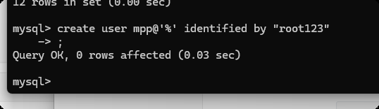 image-20250620180528642