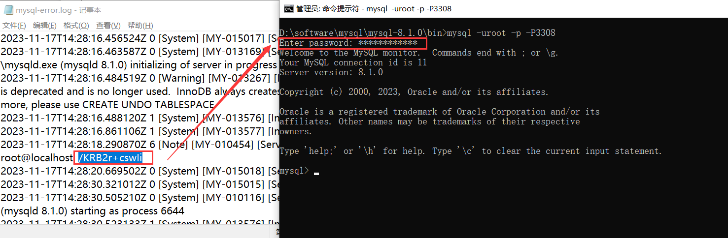 image-20231117224943269