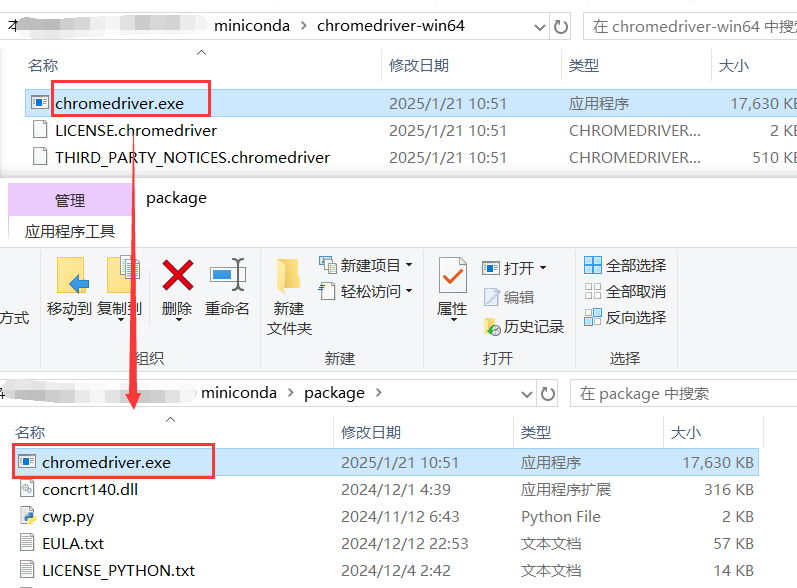 image-20250126233954047