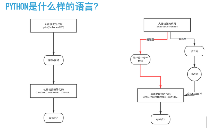 image-20200130140301459