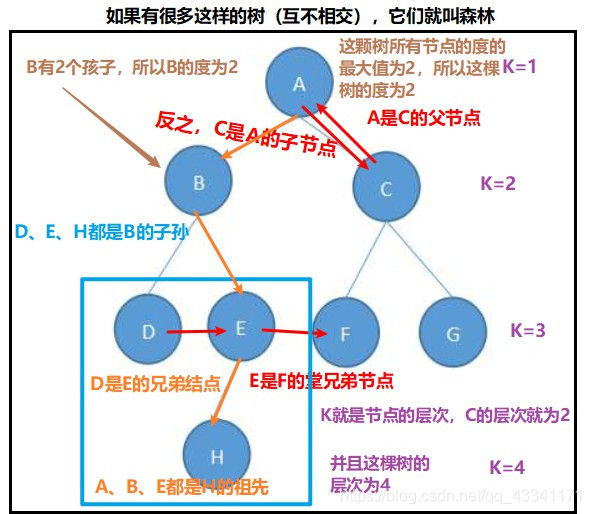 树解释