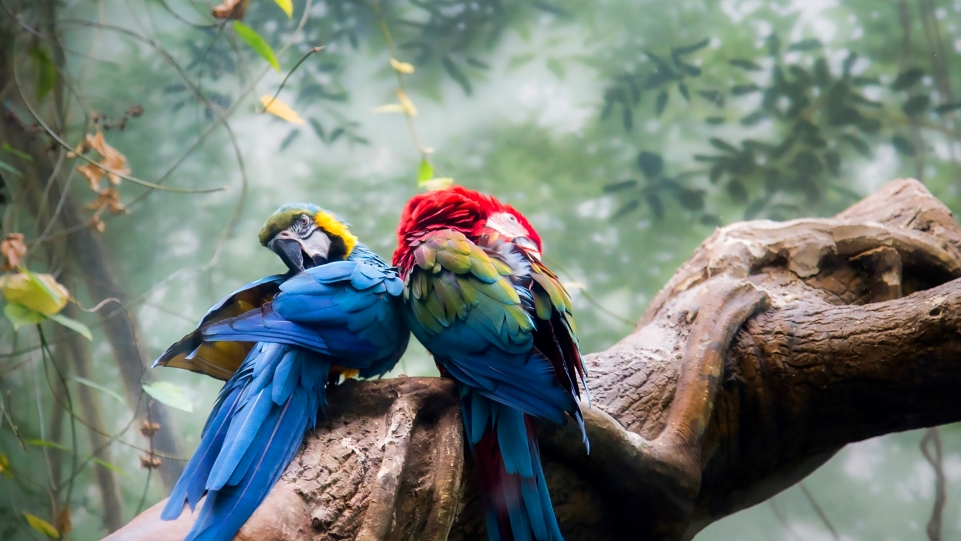 2023开发学习内容集锦