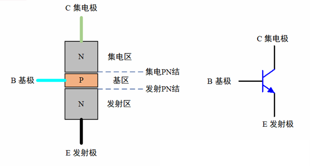 NPN1