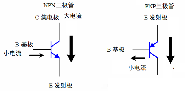 放大