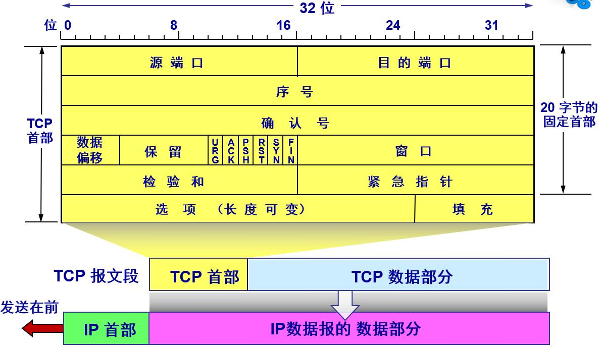 TCP 报文段结构