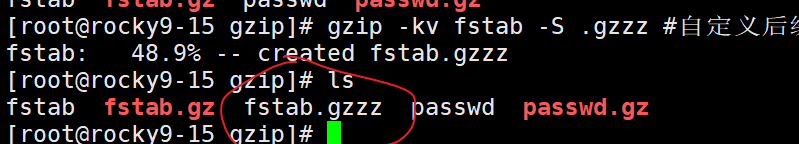 image-20250508233102441